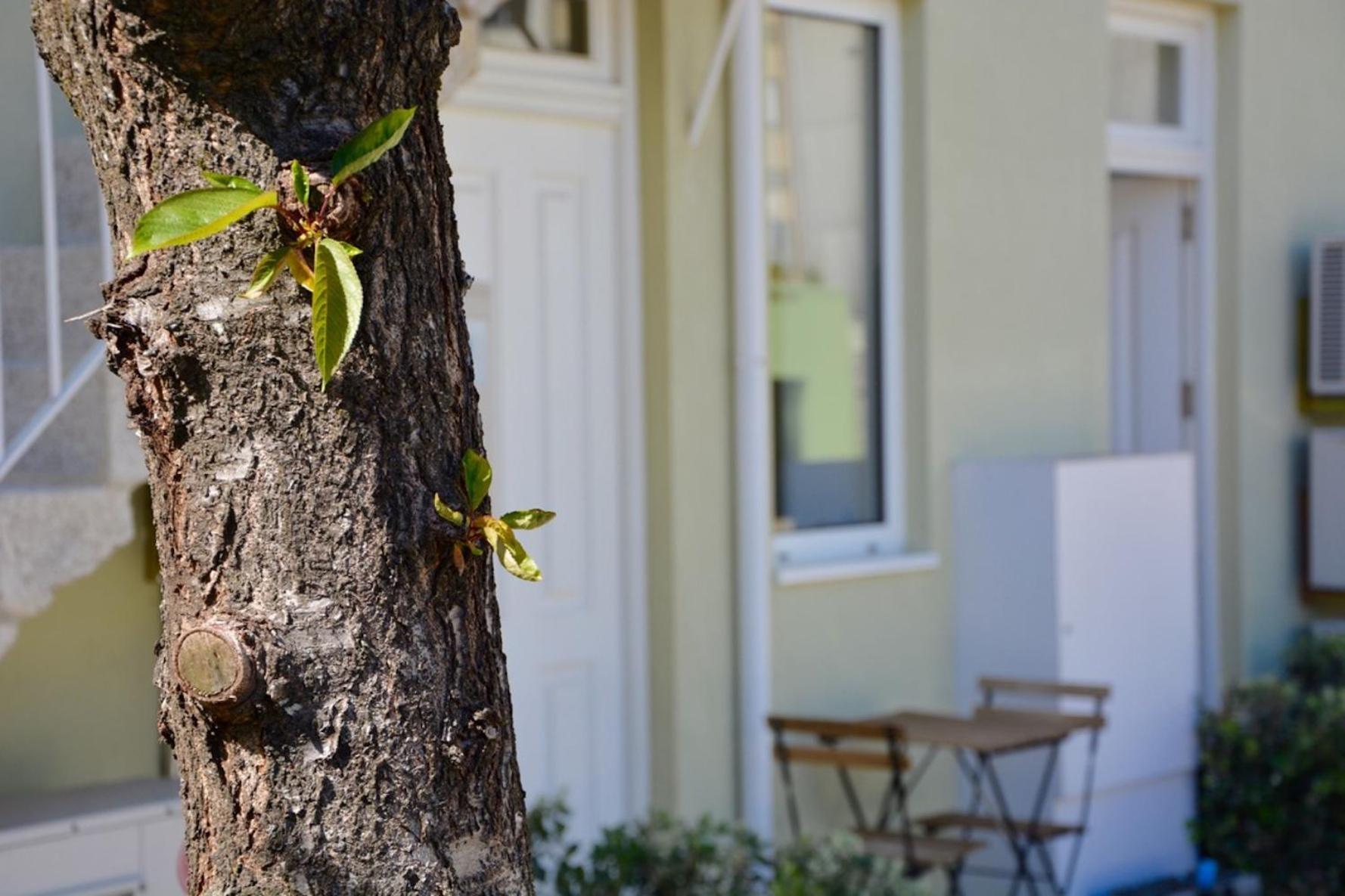 Porto Tranquility - Downtown Apartment Exterior photo